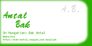 antal bak business card